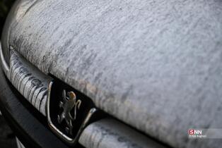 تهران در روز های پایانی سال