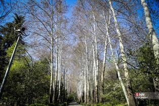 بوستان جمشدیه در روز های بهاری