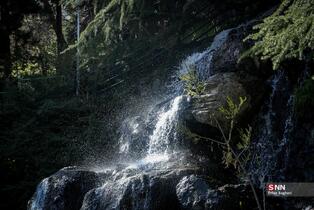 بوستان جمشدیه در روز های بهاری