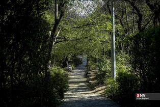 بوستان جمشدیه در روز های بهاری