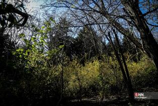 بوستان جمشدیه در روز های بهاری