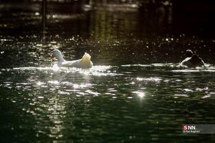 بوستان جمشدیه در روز های بهاری
