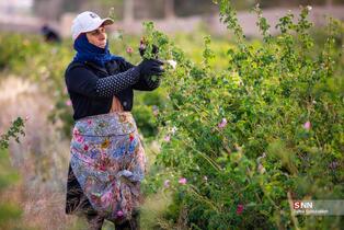 345345