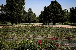 باغ گیاه شناسی ملی ایران در اوج طراوت بهاری