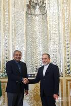 دیدار وزیر کشور پاکستان با وزیر امورخارجه جمهوری اسلامی ایران