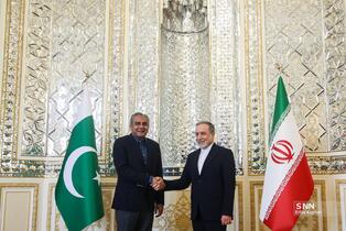دیدار وزیر کشور پاکستان با وزیر امورخارجه جمهوری اسلامی ایران