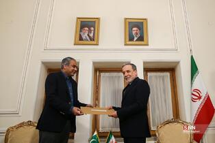 دیدار وزیر کشور پاکستان با وزیر امورخارجه جمهوری اسلامی ایران
