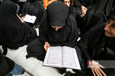 امیر
