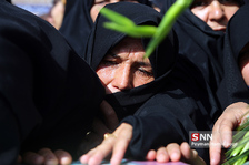 شهید