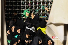 نجف نادری