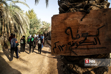 دیوانیه