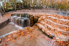 fall
