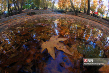 fall
