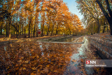 fall
