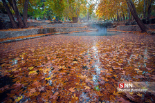 fall