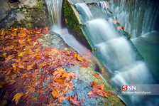 fall