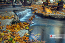 fall