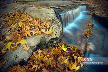 fall