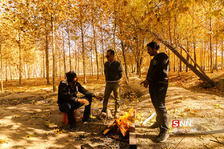 پاییز