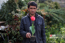 
بازار گل شهید محلاتی در آستانه سال نو