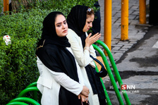 در حاشیه دسته عزای علوی(ع) در مشهد مقدس