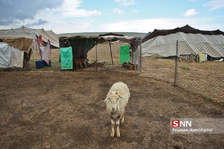 عشایر کرمانج