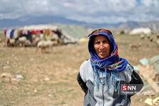 عشایر کرمانج