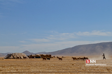 عشایر کرمانج