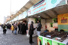 افتتاح نمایشگاه محرومیت زدایی و اشتغال زایی