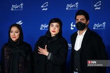 بیطد