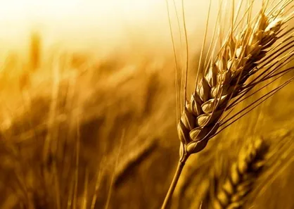 طرح سوال از وزیر کشاورزی درباره رانت واردات برای افراد خاص +سند