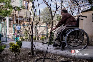جانبازی ، مدال افتخار برای یادگاران جنگ
