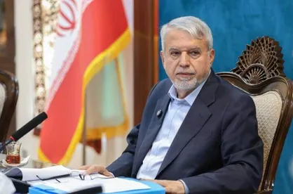 صالحی امیری: روایت ایران از زبان دیگران تأثیرگذارتر است