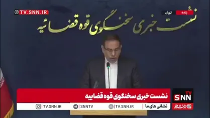تفاوت عفو معیاری و عفو مصداقی از زبان سخنگو قوه قضائیه