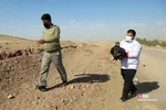 رهاسازی ۹ قطعه پرنده شکاری و آبزی در تالاب بهشت معصومه