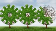 ۱۱۸ هزار برگ کاغذ با حذف چاپ کاغذی پایان نامه‌ها در دانشگاه محقق اردبیلی صرفه جویی شد