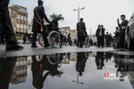 شهادات