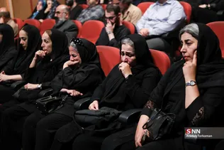 دبب