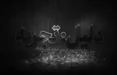 دلیل؟ تجربه