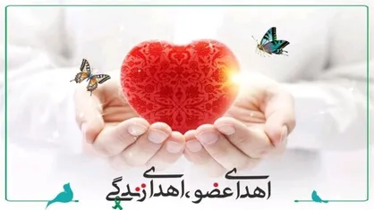 انجام ۲۳۲ مورد اهدای عضو در استان کرمان
