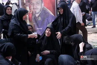 دبب