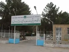 تبادلات علمی دانشگاه علوم پزشکی یزد با مجارستان گسترش می‌یابد