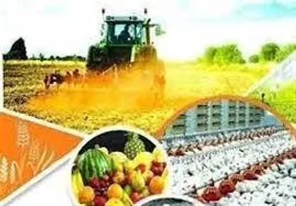 نخستین &laquo;رویداد نوآوری&zwnj;های حوزه امنیت غذایی&raquo; ۱۵ اسفند برگزار می&zwnj;شود