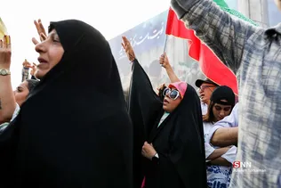 دبب