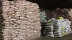 رسیدگی به پرونده قاچاق ۲ هزار و ۷۰۰ کیلوگرمی برنج در کردستان