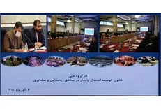 وزیر تعاون، کار و رفاه اجتماعی: اجرای طرح‌های اشتغال روستایی سرعت می‌گیرد