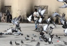 دستگیری مواد فروش ۵۰ ساله در ایستگاه قلهک/ کشاورز استان غربی به جرم مواد فروشی دستگیر شد
