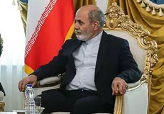 احمدیان: ایران و عربستان راهبرد همکاری و امنیت را در منطقه تضمین می‌کنند