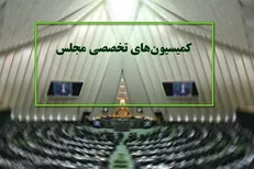 موضوع سهام عدالت در کمیسیون اجتماعی مجلس بررسی می‌شود