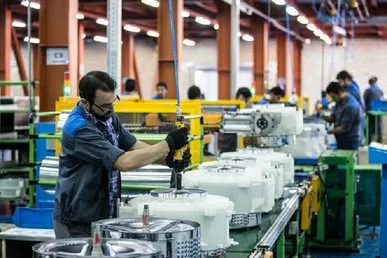 ۷۵ درصد مصوبات رفع موانع تولید بوشهر اجرایی شد